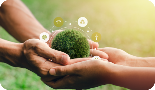 Sustainable Development